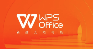 WPS 官网提示验证失败或账户异常？解决方案