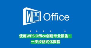 WPS Office 教程｜文字处理基础 + 高级排版技巧全收录